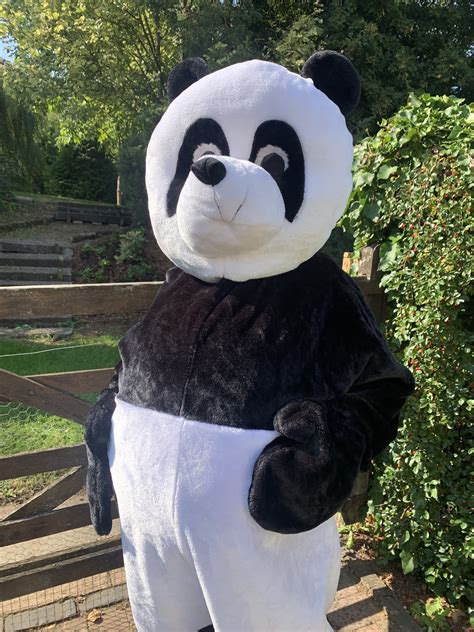 The Making of a Customized Panda Mascot Suit: A Behind-the-Scenes Look